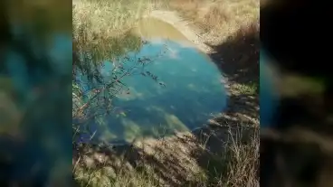 Pusztamerges Laperdo