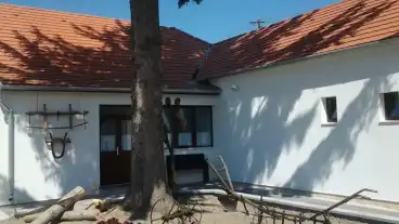 Rabapatona Dr Fabian Ferenc Tajhaz 1