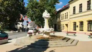 Rackeve Janos Vitez Diszkut 1