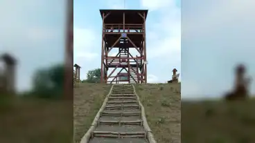 Rakoczifalva Bivaly Toi Tanosveny Kilato