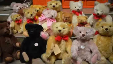 Rakoczifalva Macimuzeum