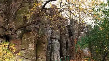 Raposka Bazaltorgonak Tanosveny