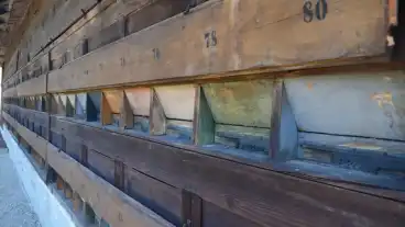 Ravazd Meheszeti Gyujtemeny