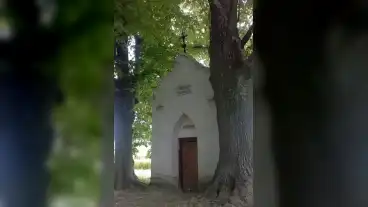 Repcevis Rozsafuzer Kiralyneja Kapolna