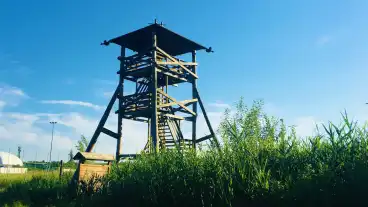 Reti Tavak Tanosveny Kilato 1