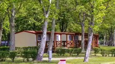 Revfulop Balatontourist Napfeny Kemping 1