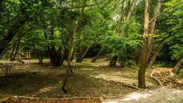 Rezi Mezitlabas Setany 1