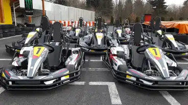 Ronok Radring Gokart