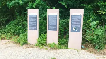 Rudapithecus Tanosveny 01