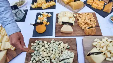 Sajtmustra Martonvásáron