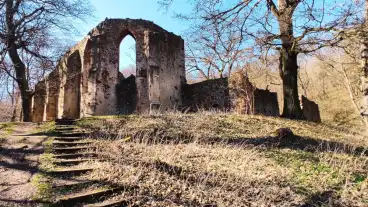 Salfold Palos Kolostor 01