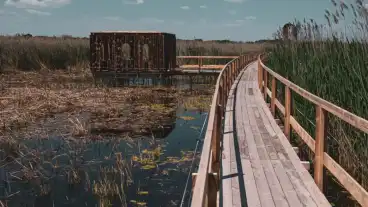 Sandorfalva Okopark 1