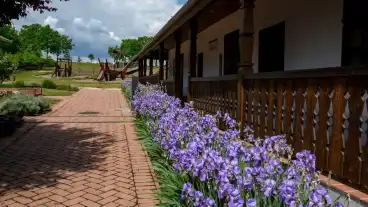 Sarazsadany Neprajzi Kiallitohely 1