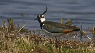 Sarkeresztur Sarviz Volgye 1