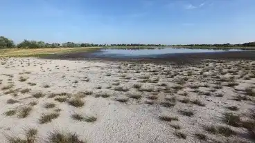 Sarrod Sziki Oszirozsa Tanosveny