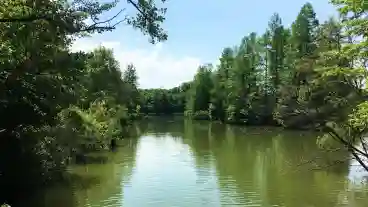 Sarvari Csonakazoto 1