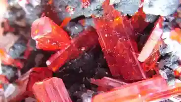 Siofok Asvanymuzeum 1