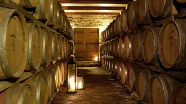 Soltvadkert Frittmann Borhaz 1