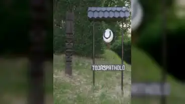 Somogyvar Tojaspatkolo Muhely 01