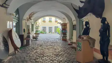 Sopron Erdeszeti Muzeum