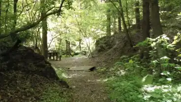 Sopron Tolvaj Arok Termeszetvedelmi Tanosveny