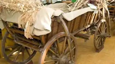 Sulysap Kapas Jozsef Helytorteneti Gyujtemeny