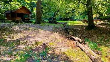 Sumegpraga Sarvalyi Erdo 01