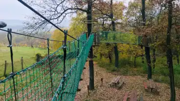 Sur Lombkorona Setany 01