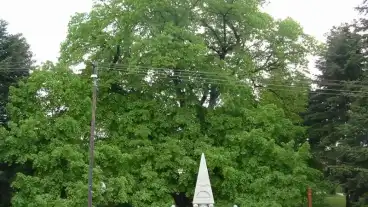 Sutto Rakoczi Harsfa