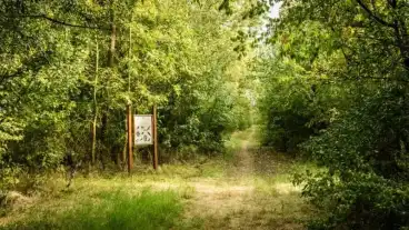 Szabadkigyos Kigyos Tanosveny