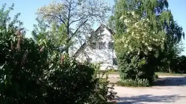 Szabadkigyos Nemethaz