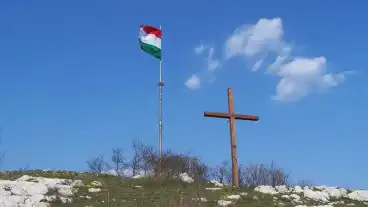 Szarliget Zuppa Teto