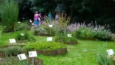 Szarvas Anna Liget Tanosveny 1