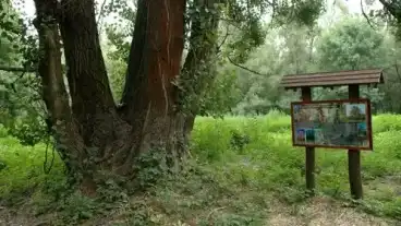 Szarvas Halasztelki Tanosveny 1