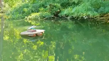 Szarvas Jegmadar Vizi Tanosveny 1