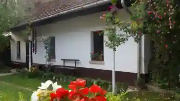 Szeged Dorozsmai Tajhaz 1