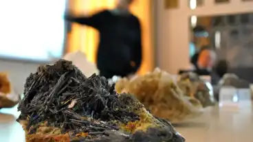 Szeged Koch Sandor Asvanygyujtemeny