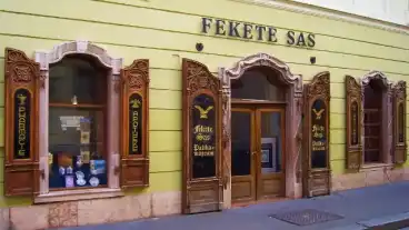 Szekesfehervar Fekete Sas Patikamuzeum 1