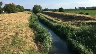Szekesfehervar Gaja Patak 1