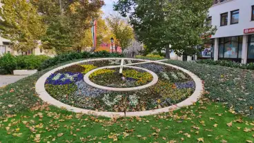 Szekesfehervar Viragora 5