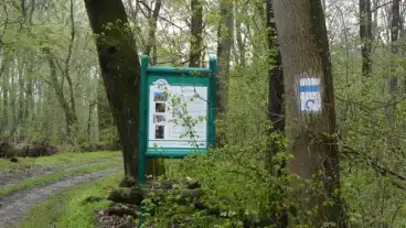 Szekszard Baranyfok Tanosveny