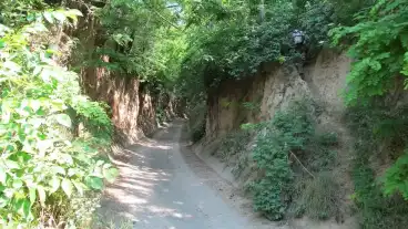 Szekszard Benedek Tanosveny