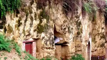 Szekszard Paraszta Tanosveny