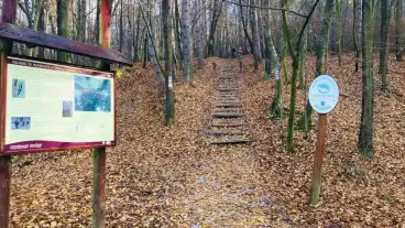 Szendehely Gyadai Tanosveny 02