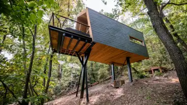 Szent Mihaly Lombhaz 1