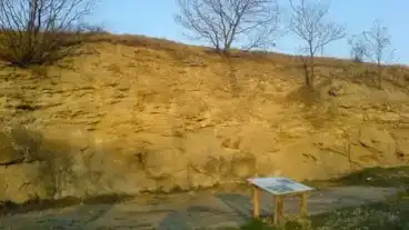 Szentbekkala Kofejto