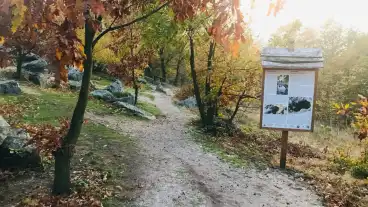 Szentbekkala Kotenger 16