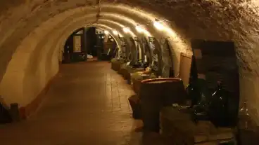 Szentendre Nemzeti Bormuzeum 1