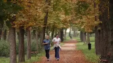 Szentes Szechenyi Liget