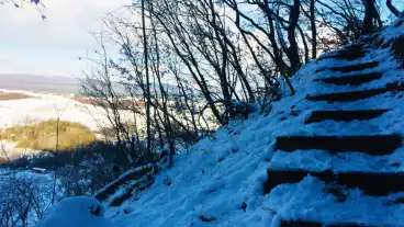 Szentgal Tiszafas Tanosveny 01